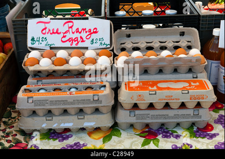 Azienda Agricola Free Range uova in vendita presso il locale mercato degli agricoltori di Goleta, California Foto Stock