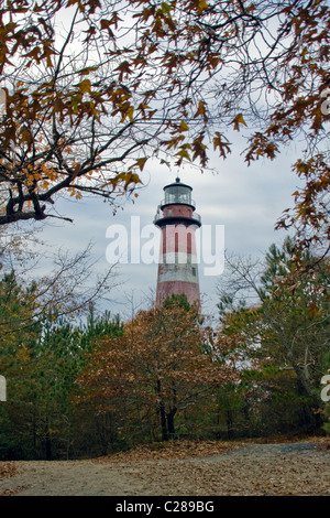 Vista di Assateague Island Lighthouse in Accomack County Virginia Foto Stock
