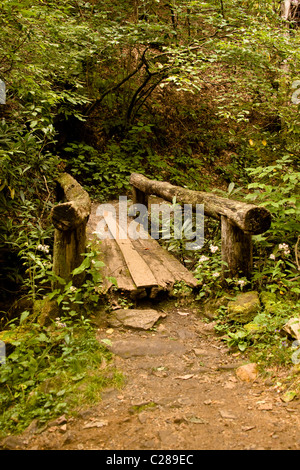 Cascata cade il sentiero che conduce alla cascata cascata situata in EB Jeffress Park documento Wilkes County North Carolina Blue Ridge Mountains Foto Stock