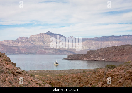 Ricerca di Safari al di ancoraggio off Ensenada Grande Mare di Cortez, Baja California, Messico. Foto Stock