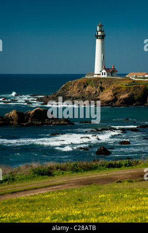 Arroccato su una rupe sulla centrale di costa della California, 50 miglia a sud di San Francisco, è il 115-piede Pigeon Point Lighthouse. Foto Stock