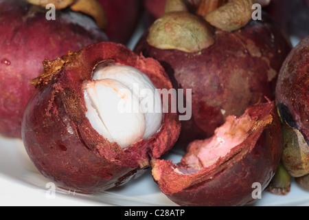 Macro su Taglio Mangosteen frutta Foto Stock