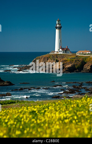 Arroccato su una rupe sulla centrale di costa della California, 50 miglia a sud di San Francisco, è il 115-piede Pigeon Point Lighthouse. Foto Stock