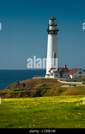 Arroccato su una rupe sulla centrale di costa della California, 50 miglia a sud di San Francisco, è il 115-piede Pigeon Point Lighthouse. Foto Stock