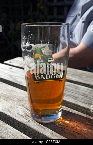 Bere una pinta di birra Badger Foto Stock