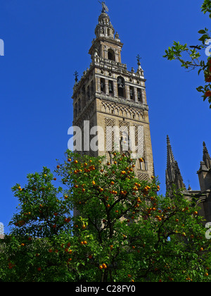 Torre Giralda di Siviglia, Spagna Foto Stock