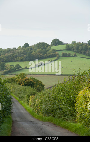 Bellissima vista del piccolo vicolo tortuoso attraverso la campagna inglese. Foto Stock