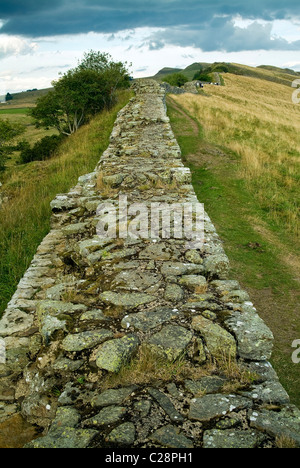 La sezione del Muro di Adriano nei pressi di Haltwhistle, Northumberland, Regno Unito Foto Stock