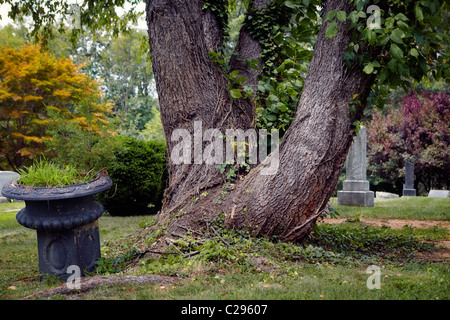 Un vecchio urna di metallo in un cimitero cimitero. Foto Stock