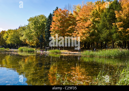 Autunno Mount Royal Park Montreal Canada Beaver lake Foto Stock