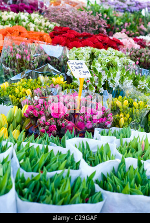 Fiori per la vendita su un mercato in stallo nei Paesi Bassi Foto Stock