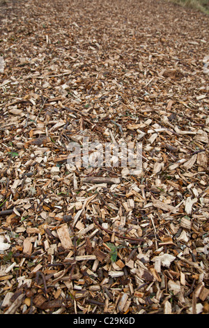 Trucioli di legno su strada Foto Stock