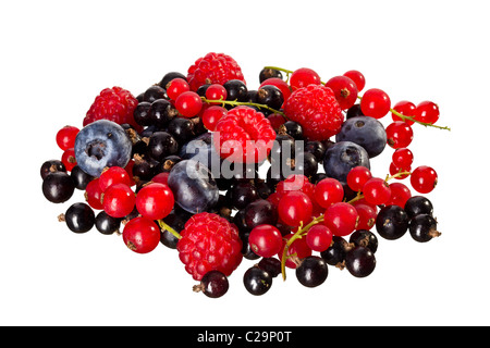 Freschi mescolati lampone, ciliegia, rosso e ribes nero Foto Stock