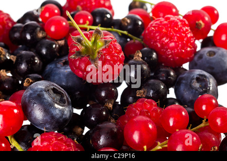 Freschi mescolati lampone, ciliegia, Billberry, rosso e ribes nero Foto Stock