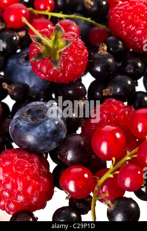 Freschi mescolati lampone, ciliegia, Billberry, rosso e ribes nero Foto Stock