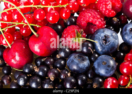 Freschi mescolati lampone, ciliegia, Billberry, rosso e ribes nero Foto Stock