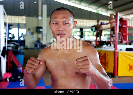 Saenchai Sor Kingstar campione del mondo di Muay Thai, kick boxer, Phuket, Tailandia Foto Stock