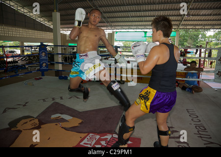 Saenchai Sor Kingstar campione del mondo di Muay Thai, kick boxer,la formazione di una donna pugile, Phuket, Tailandia Foto Stock