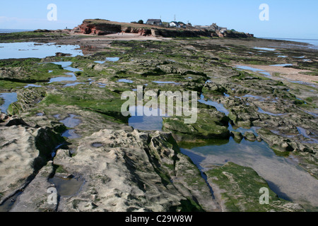 Vista verso Hilbre Island con la bassa marea, Wirral, Regno Unito Foto Stock