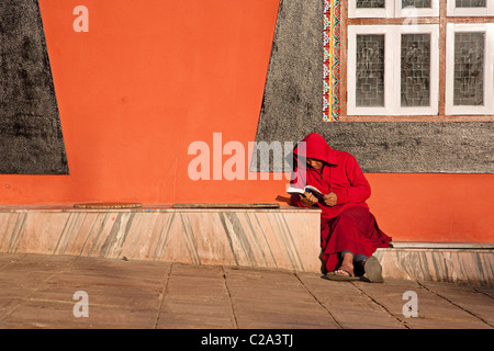 Monaco buddista in rosso vesti la lettura di un libro seduti sotto il sole. Il Nepal, Asia Foto Stock