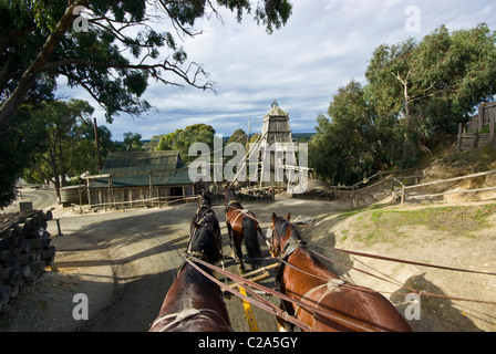 Un team di cavalli Clydesdale tirare un stagecoach in oro una città mineraria. Foto Stock