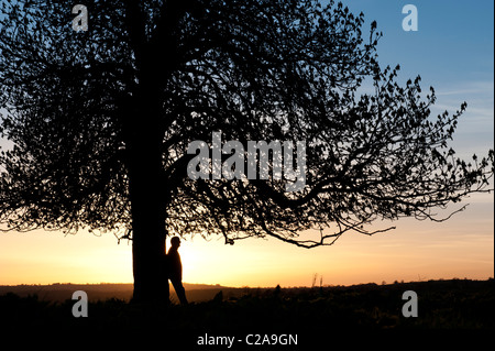 Aesculus hippocastanum. Uomo appoggiato a cavallo castagno al tramonto. Regno Unito. Silhouette Foto Stock