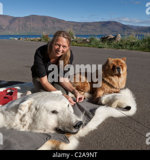 La cucitura di un rivestimento su un orso polare, tappeto di pelle, Akureyri, Islanda Foto Stock