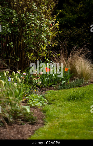 Inglese confine di fiori in primavera Foto Stock