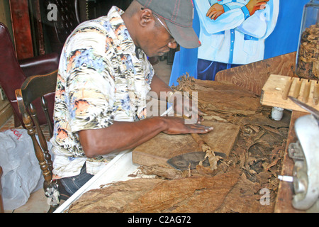 Etnia man mano rendendo sigari storica Ybor City, Tampa Florida Foto Stock