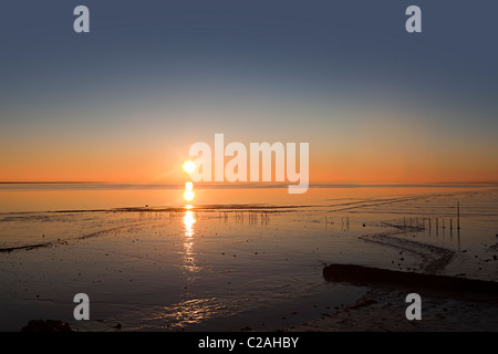 Tramonto sulla spiaggia e velme a Goldcliff vicino a Newport Gwent Wales UK Foto Stock