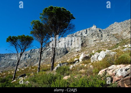 La Montagna della Tavola superiore stazione cavo vista dal Tafelberg, Cape Town, Sud Africa Foto Stock