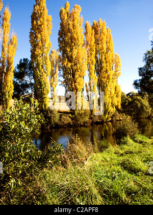 Thredbo River, montagne innevate, NSW, Australia. Autunno Foto Stock