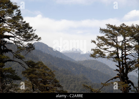 Vie a nord a oltre 7000m alta montagna da Dochula Pass, Bhutan Foto Stock