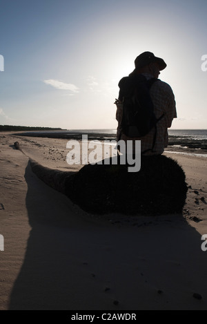 Persona seduta sul driftwood presso la spiaggia, vista posteriore Foto Stock