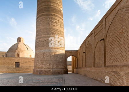 Uzbekistan Bukhara, Minareto Kalyan e Po-i-Kalyan complessa Foto Stock