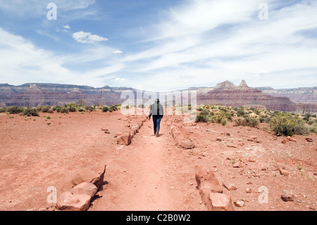 L'uomo escursionismo nel Parco Nazionale del Grand Canyon, Arizona, Stati Uniti d'America Foto Stock