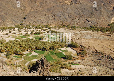 Oman, Wadi Bani AWF, Hatt, splendidi campi verdi, tradizionale sun-cotto case e palme piantagioni nel villaggio di HAT Foto Stock