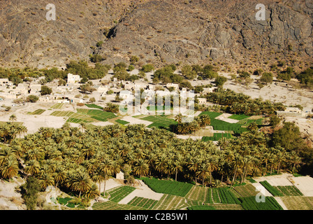 Oman, Wadi Bani AWF, Hatt, splendidi campi verdi, tradizionale sun-cotto case e palme piantagioni nel villaggio di HAT Foto Stock