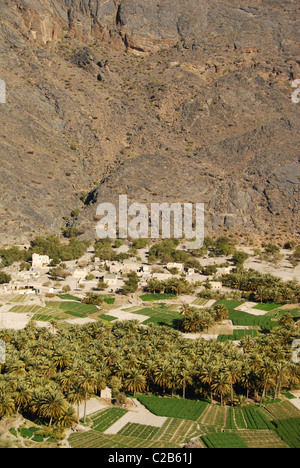 Oman, Wadi Bani AWF, Hatt, splendidi campi verdi, tradizionale sun-cotto case e palme piantagioni nel villaggio di HAT Foto Stock