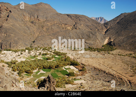 Oman, Wadi Bani AWF, Hatt, splendidi campi verdi, tradizionale sun-cotto case e palme piantagioni nel villaggio di HAT Foto Stock