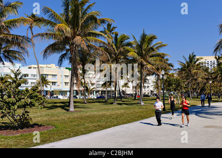 Lummus Park, South Beach, Miami Foto Stock