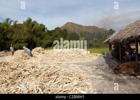 Cumulo di bagasse presso il tradizionale mulino di zucchero di muscovado con sfondo montano, Iloilo, Panay Island, Filippine Foto Stock
