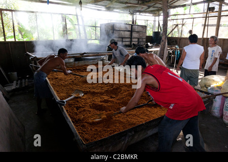 Lavoratori filippini di trasformazione dello zucchero Muscovado a uno zucchero mulino. Nelle Filippine Foto Stock