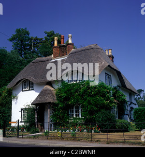 Lyndhurst Hampshire Inghilterra Foto Stock