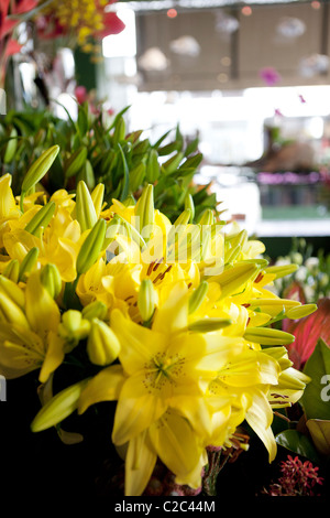 Fiori Tigerlilly al negozio di fiori Foto Stock
