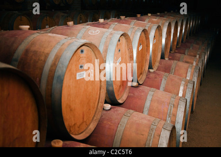 Botti di vino nella cantina Undurraga, vigneto, Maipo Valley, Cile, America del Sud. Foto Stock