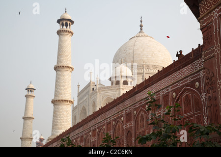 Taj Mahal visto dal retro in Agra, India. Foto Stock