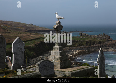 Un gabbiano appollaiato sulla cima di un oggetto contrassegnato per la rimozione definitiva nel cimitero Barnoon, St Ives, Cornwall, Inghilterra. Foto Stock