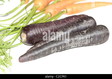 Viola le carote di fronte olandese carota arancione Foto Stock