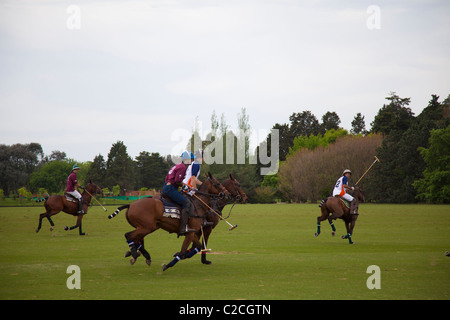 Polo Espositivo match vicino a Buenos Aires, Argentina Foto Stock